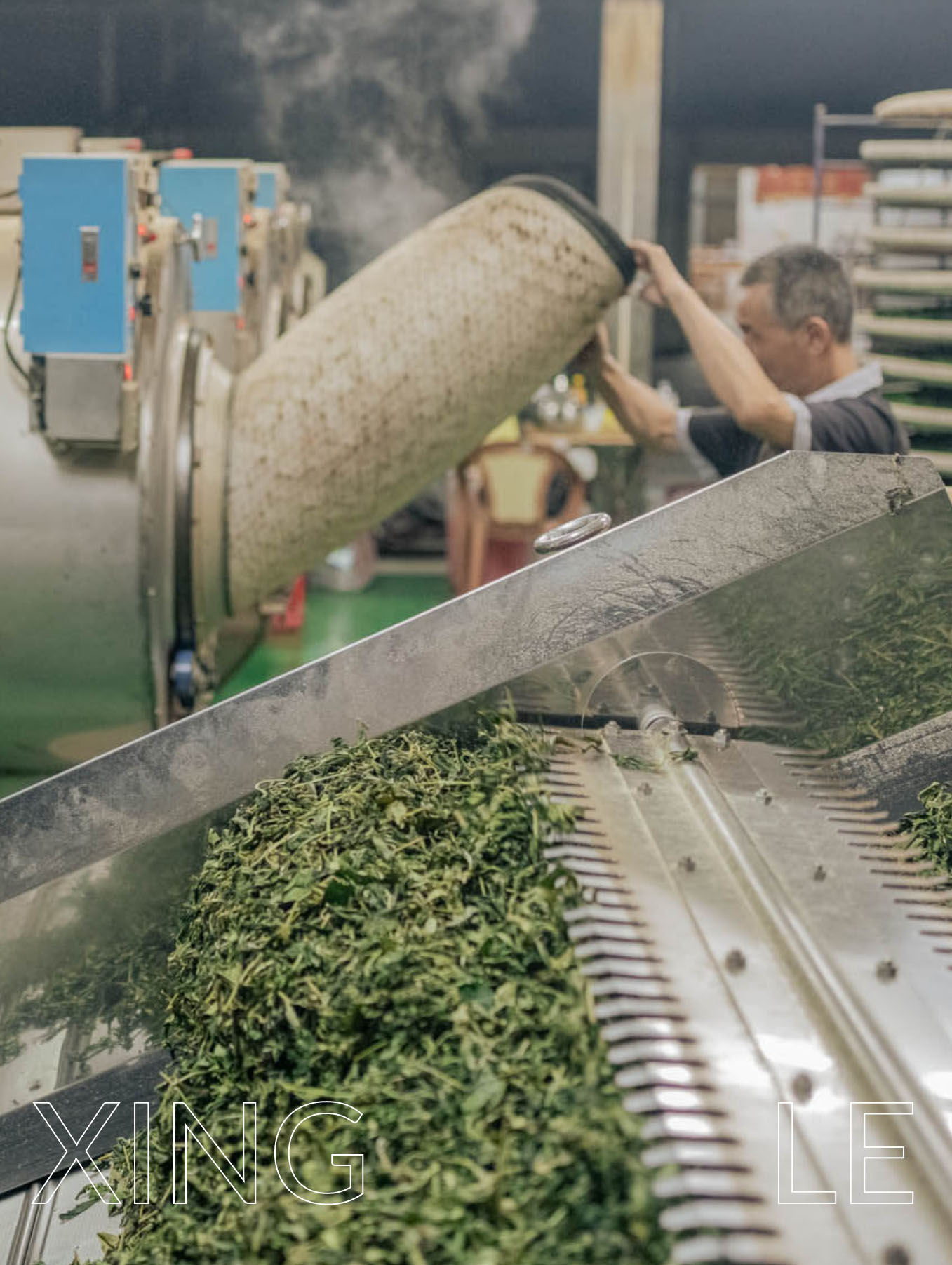 興樂製茶 圖片